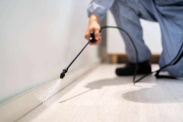 Licensed Pest Control service in Oakton, VA - Show Me Pest Control