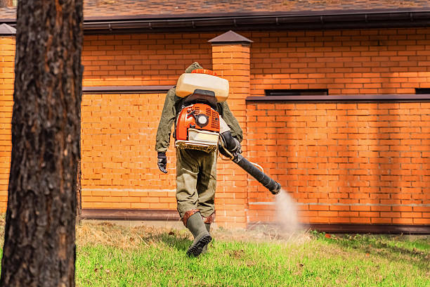 Bed Bug Clearance Verification and Documentation in Oakton